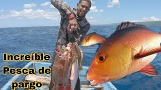 PARGO HOY FUE UNA BUENA PESCA CON LINTERNA (increíble pesca de pargo rojo)