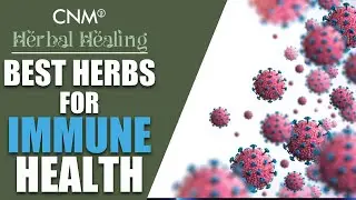The Best HERBS for IMMUNE HEALTH!