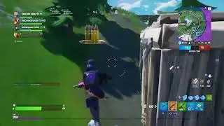 Fortnite I I unlocked the Purple Version of Remedy!!!