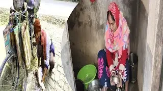 অনেক বড়ো মাছ নিলাম দুই দিনের ভিডিও  ঘরের ভিতরে ঢালাই হয়ে গেলো 