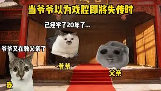 当爷爷以为戏腔即将失传时 #猫meme #戏腔