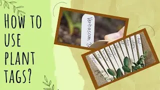 How to use plant tags | Plant tags kaise use kare | The Affordable Organic Store