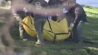 Deadly crime spree ends in tragedy as suspects&rsquo; SUV crashes into Deerfield Beach canal