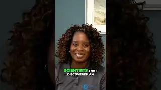 Unveiling the Fountain of Youth: The Telomere-Aging Connection