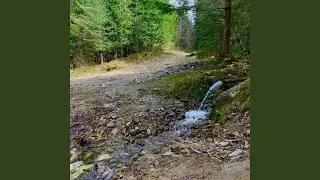 Meditation in the Rain, Pt. 7