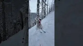 When you dropped a ski in double black trees🤣&hellip;