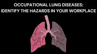 WHS Australia: Is Your Workplace Air Toxic?