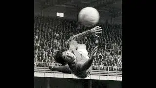 Naumann - Sans gants