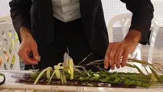 איך לאגוד את ארבעת המינים ואיך לברך על ארבעת המינים, הרב ליאור