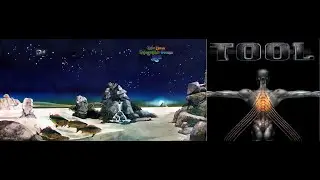 TOOL / YES drumming comparison (No Quarter vs The Ancient)