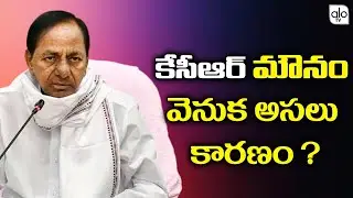 Reason Behind The Telangana CM KCR Silence ? | Minister KTR | Hyderabad | Latest News | TRS | ALO TV