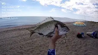 Pesca da riva - Spiombate e orate sulla lunga distanza !!!