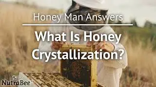 What Is Honey Crystallization? (Honey Man Explains)
