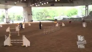 Kai and Juliet AKC Dog Agility Jumpers 2015