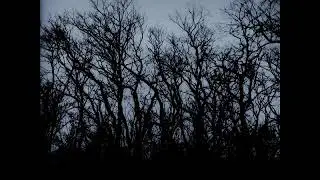 All Memory Of You Would Be Erased - Linford Detweiler
