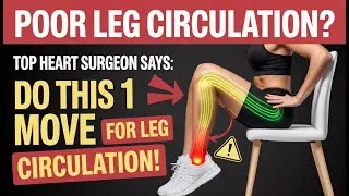 The #1 Exercise To Reignite Poor Leg Circulation (After 60) | Senior Health Tips