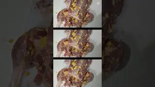 Chef's Kiss Kitchen - Duck A L ' Orange #foodie  #frieddumplings  #recipe #duck  #blackyoutube