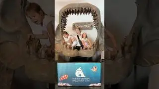 RV LIFE is Sharktastic!? #rvtravel #rvlife #rvfamily #rvliving #rv #utah #aquarium