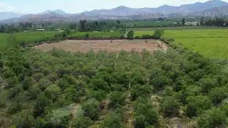 PARCELA AGRÍCOLA NOS SAN BERNARDO