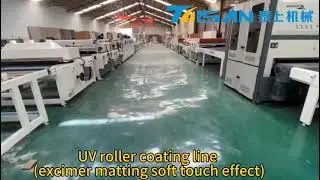UV roller coating line (excimer matting soft touch effect)