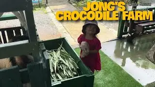 Jalan Jalan ke Jong's Crocodile Farm | Jong's Crocodile Farm, Sarawak