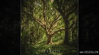 Neraines - Astral Colossus