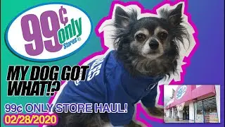 99 Cent Only Store Haul!! 2/28/20 LOS ANGELES | Look what I found! | Easter Stuff + More!