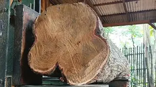 Cutting the most extreme and ancient logs using casual techniques | AMAZING SAWING SKILLS 