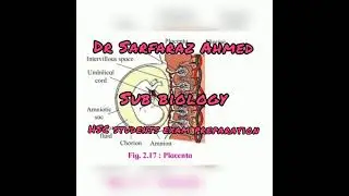 biology important #diagrams for #HSC #students of #exam