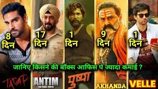 Box Office Collection | Velle, Chandigarh Kare Aashiqui, Tadap, Antim, Pushpa, Akhanda, Collections