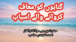 گناہوں کو معاف کروانے کے اسباب | اللہ کی رحمت پانے کے سنہری طریقے/ peer zulfiqar Ahmad naqshbandi