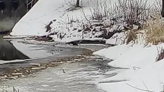 Lucky fisher. Part 5