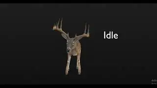AFRICAN Adult DEER 3d animations