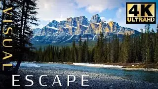 7 Hours of Relaxing Nature Sounds - Study, Sleep Meditation - River Sounds with Birds for Sleeping