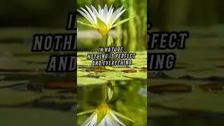 natural quotes for beauty of nature 💖// nature quotes #natural #youtubeshorts #shorts