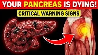8 Symptoms of PANCREATIC CANCER That Will SHOCK YOU | Critical Warning Signs