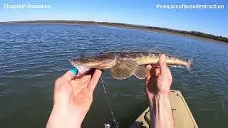 Flathead session Hays inlet SEQ kayak fishing Brisbane