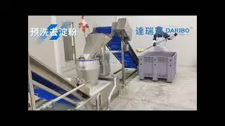 Potato Processing Machine Line