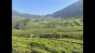 Mesmerizing Munnar Lockhart Gap view point & Skyfall view point,Dam View | A Scenic Journey #roaming