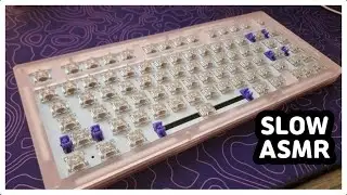 【SLOW ASMR】 AKKO Acrylic 81⌨️ | Everglide Aqua King | Keyboard Typing ASMR | No ADs No Talking😴