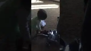 Boy, dog and vacuum