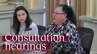 Having a say on consultation practices