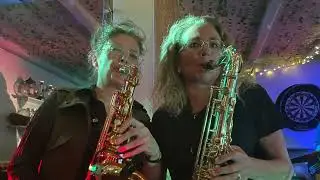 The Fabulous Hoolies Alpha Girl