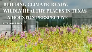 Building Climate Ready, Wildly Healthy Places in Texas &ndash; A Houston Perspective