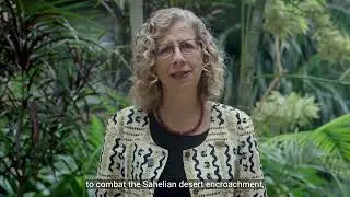 Inger Andersen, Executive Director, UNEP - AMCEN Video Message 2025