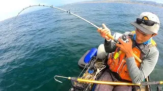 LIVE BAIT Fishing for BIG FISH with Big TEETH