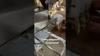 Суета вовремя испытаний. #отсадка