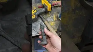 Shake a day bottle opener
