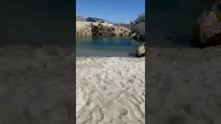Build me a Beach in my Backyard ☀️ #landscapedesign #naturalpool #swimmingpool