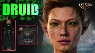 The Druid Class | Baldur's Gate 3 (Character Creation, Class Features)